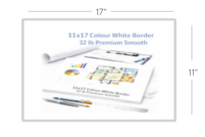 11X17 (White Border)