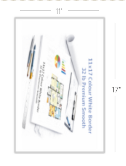 11X17 (White Border)